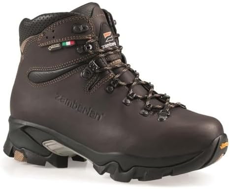 Amazon.com: Zamberlan VIOZ GTX Dark Grey EU 42.5 (US Men's 8.5) E