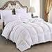 Emolli All Season Queen Comforter Summer Soft Quilted Duvet Queen, Duvet Insert Queen, Machine Washable, Stand-Alone Comforter(Queen-88x88inch)