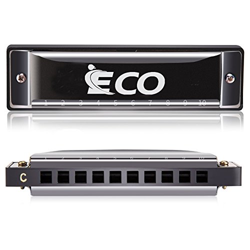 Diatonic Harmonica â€“ 10 Hole Blues Harp with Case, Learning Instruction, Polishing Cloth, Key of C