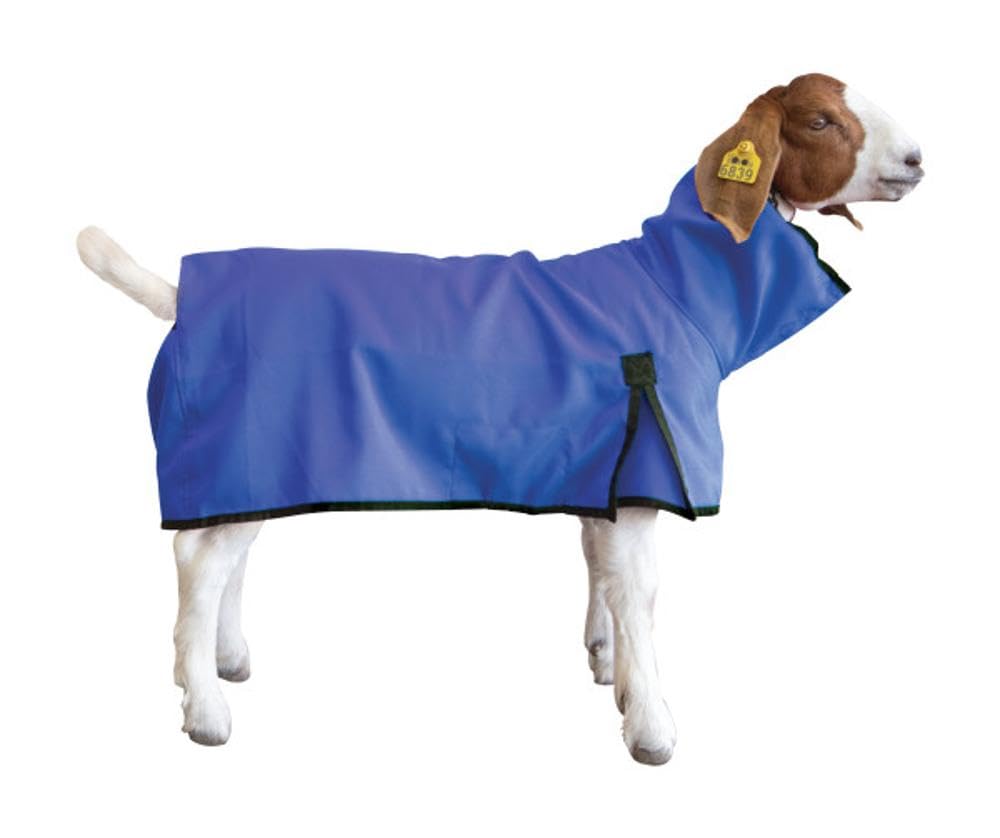 Goat Blanket, Small, Blue