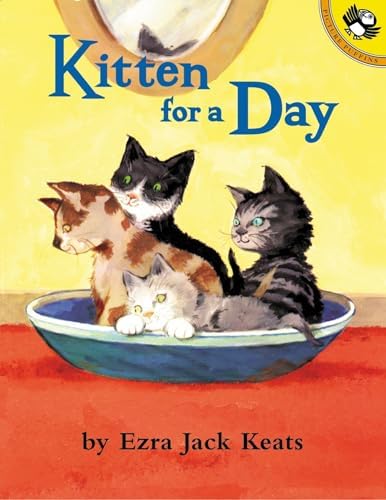Amazon.com: A Box Full of Kittens: 9780689830891: Manzano, Sonia