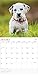 2017 Monthly Wall Calendar - Puppies Dogs