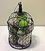 Jodhpuri Inc. Decorative Spheres (Lime Green) Rattan Vase Filler Assorted Natural Woven Twig Balls