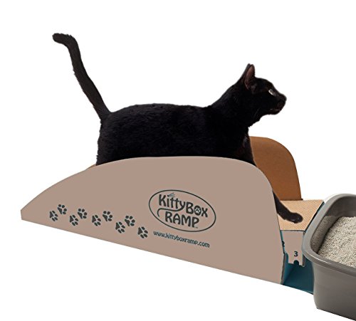 Kitty Box Ramp for cat litter box