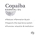 Edens Garden Copaiba Essential Oil- 100% Pure Premium Grade, Undiluted, Natural, Therapeutic, Aromatherapy, The Best for Diffuser, Skin, Face, Hair 30 ml (1 fl oz)