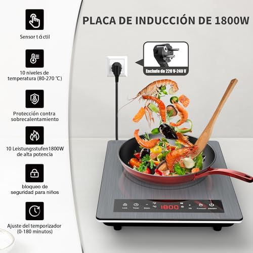 VBGK Portable Induction Hob, 1800W Portable Vitro, 10 Heating Levels, Adjustable Power and Temperature, Timer, Child Lock, Touch Controls, Easy Cleaning