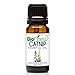 BioFinest Catnip Oil - 100% Pure Catnip Essential Oil - Boost appetite, Detox, Relax Mind - Premium Quality - Therapeutic Grade - Best For Aromatherapy - FREE E-Book (10ml)