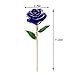 24K Gold Rose Flower, Metal Dipped Roses Artificial Flowers for Valentine Day, Anniversary, Birthday for Lover Mother Girlfriend, 24K Golden Plated Rose in Present Box Red