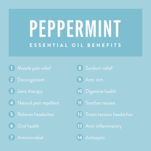 Peppermint Essential Oil RollOn Migraine Essential Oil Roller