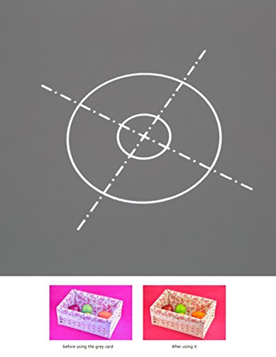 Lightdow-12-x-12-Inch-30-x-30-cm-White-Balance-18-Gray-Reference-Reflector-Grey-Card-with-Carry-Bag-folded-version