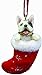 French Bull Dog Christmas Stocking Ornament with 