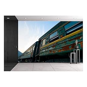 Some Trains at Abandoned Train Depot - Removable Wall Mural | Self-Adhesive Large Wallpaper - 66x96 inches