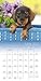Puppies 2017 Calendar: Includes Downloadable Wallpaper