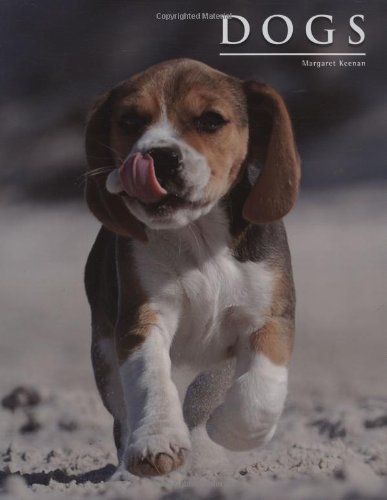 Dogs