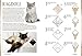 Cat Origami (Origami Books)