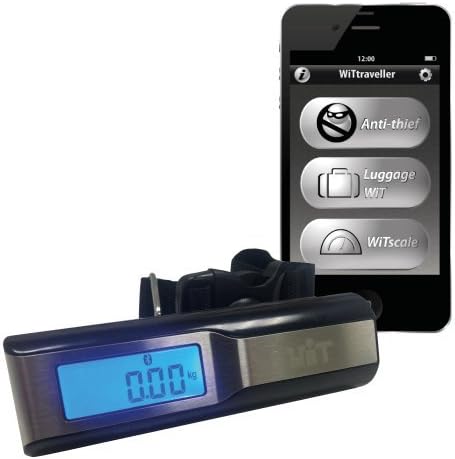 digital luggage scale big w