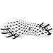 ALEADER Women's Mesh Slip On Water Shoes Black 9 D(M) US