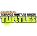Nickelodeon's Teenage Mutant Ninja Turtles Snapshots Digital Video Camcorder with 1.5-Inch Screen