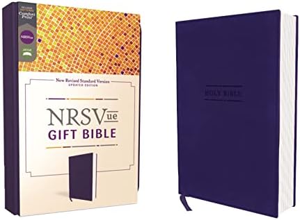 Holy Bible: New Revised Standard Version: American Bible Society