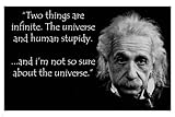 ALBERT EINSTEIN human stupidity quote poster 24X36 funny INSPIRATIONAL New
