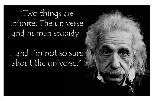 ALBERT EINSTEIN human stupidity quote poster 24X36 funny INSPIRATIONAL New