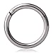 Ruifan 1PC Stainless Steel Hinged Seamless Segment Hoop Septum Clicker Ring Lip Helix Tragus Cartilage Earrings Nose Rings Pirecing 16g 10mm Steel