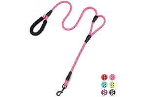 PLUTUS PET Rope Dog Leash 6ft Long,Traffic Padded Two Handle,Heavy Duty,Reflective Double Handles Lead for Control Safety Training,Leashes for Large Dogs or Medium Dogs,Dual Handles Leads(Pink)