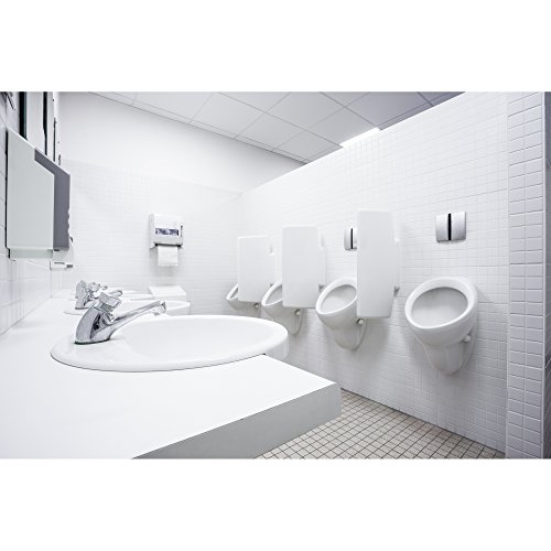 Clorox 31351EA Urine Remover, 1 gal Bottle, Clean Floral Scent