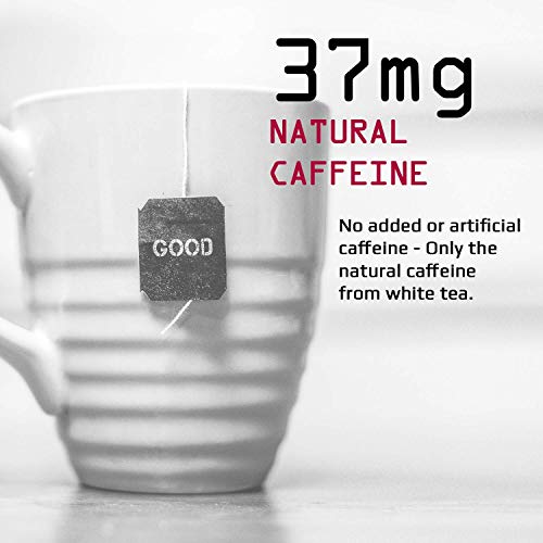 JOCKO WHITE TEA 25 CT Pricepulse