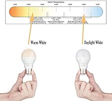 12 Volt Led Bulbs E26 Base 12vdc 12v Light Bulbs Rv Lighting Off