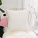 Home Brilliant Ultra Soft Velvet Solid Decorative Throw Pillowcase Cover Euro Sham for Baby Sofa Living Room, 60 x 60cm(24 inches), White