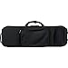 Protec HS2166W Professional Viola PRO PAC Case (Up to 16.5-Inch) - Black/Wine Interior