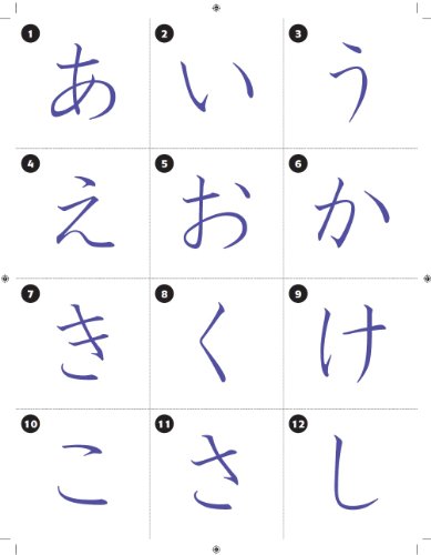 Beginner japanese calligraphy with seisho picture