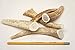 Elk Antlers for Dogs, ONE (1) Piece Medium Elk Antler Chew Bone for Medium Dogs, 6