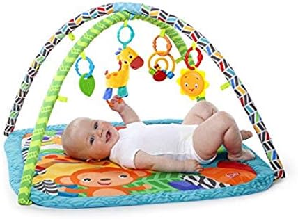 bright starts zippy zoo