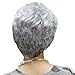 GOOACTION Granny Short Curly Silver Gray White Fluffy Wig for Old Middle Aged and Elderly Women Daily Use Wigs Halloween Cosplay Synthetic Hair Wigs