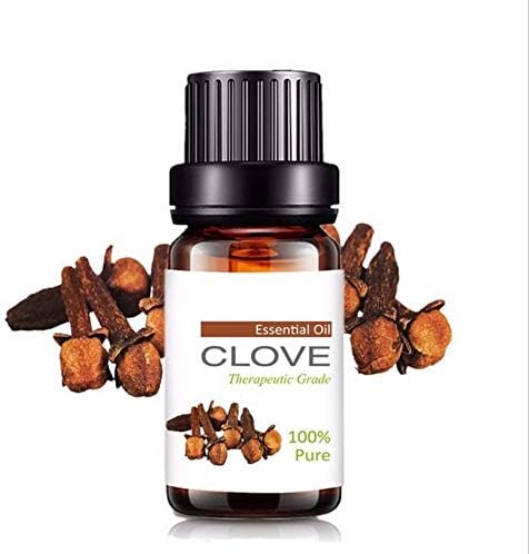 Natural clove bud essential oil undiluted, therapeutic grade-Plant organic clove bud essential oil