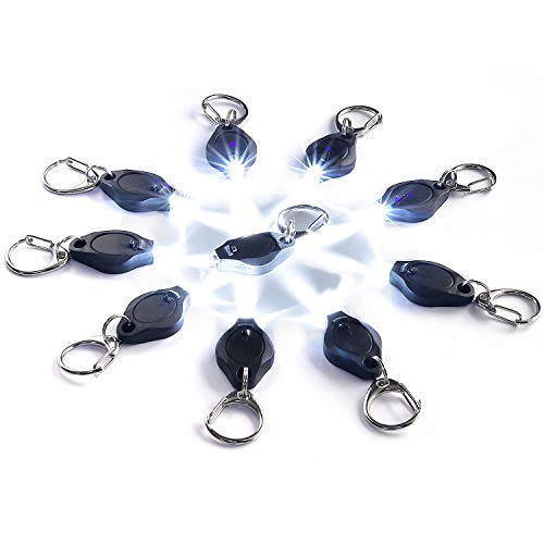 RISEMART Mini LED Keychain Flashlight, Bright Tiny Light, Pack of 10