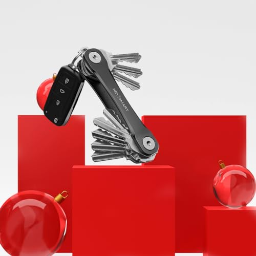 KeySmart Flex Key Holder Key Organizer Key Chain, Compact Key Case