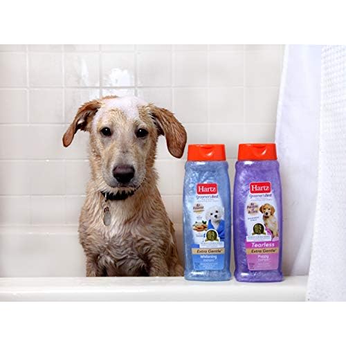 Hartz Groomer's Best Whitening Dog Shampoo, 18 Ounce Bottle 32700979256