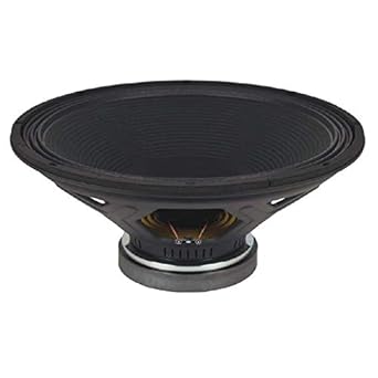 18in subwoofer