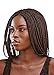 JBG SERVICES Authentic African Braided Wigs, Weaving Center Part Camille Braid Wig For African American Women, Enjoy A Natural Hairline - 2 Pins Included Color 33 Auburn 12 inch
