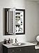Kohler 99007-TLC-NA Verdera Lighted Medicine Cabinet, Aluminum