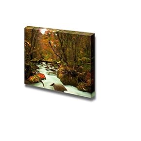 Autumn Colors of Oirase River Located at Aomori Prefecture Japan - Canvas Art Wall Art - 12" x 18"