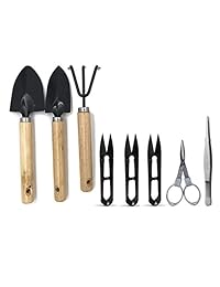 dalao Kit juego de herramientas de jardín de bonsái con tijeras de podar, tijeras de plegar, Mini rastrillo, Bud, recortadora de hojas juego para Mini herramientas de mano para jardín, Color 1