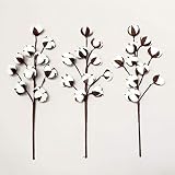 VGIA 3 Pack 21 inch Cotton Stems Farmhouse Decoration Floral Picks - Rustic Style Vase Filler Decoration Flower