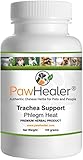 Trachea Support: Phlegm Heat Pattern - Herbal Cough Powder - 100 grams - Dogs & Pets - Save Up to $20 - Buy More Save More