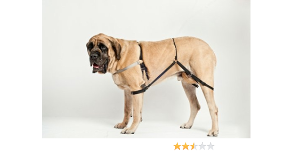 jump dog harness instructions