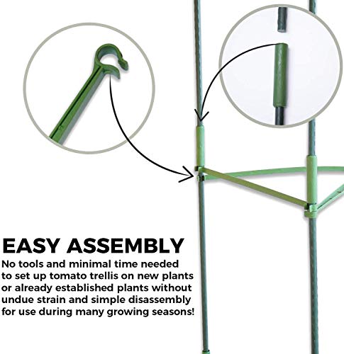 Plant Support, Sturdy Plant Support Poles, Tomato Plant Cage, Climbing Vegtables, Flowers, Fruit Grow Cage (Three Groups)