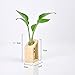 Ivolador Plant Propagation Station, Plant Propagation Tubes,Gifts for Plant Lovers,Plants Cutting Holder Office Desk Garden Décor Gifts for Mom Women Hydroponic Vase Gift Box